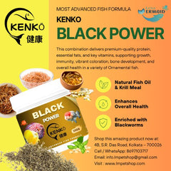 KENKO Black Power Fish Food – 100g | Advanced Nutrition Formula for Cichlids, Discus, and Flowerhorn Fish | High-Protein Sinking Pellets for Vibrant Color, Active Behavior & Healthy Growth