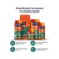 Intan Arowana Sticks BIG