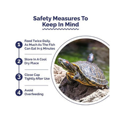 Intan Turtle Sticks Small