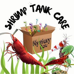 Mystery Box - Shrimp Care