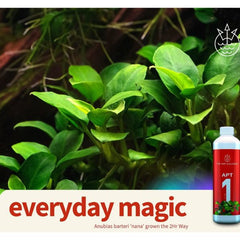 The 2Hr Aquarist APT Zero 1