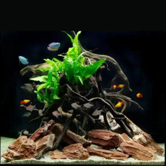 Light Set with wooden base