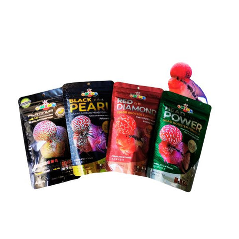 OKIKO Special Combo 4 in 1