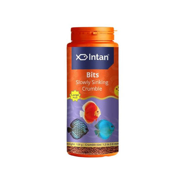 Intan Bits