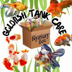 Mystery Box - Goldfish Care