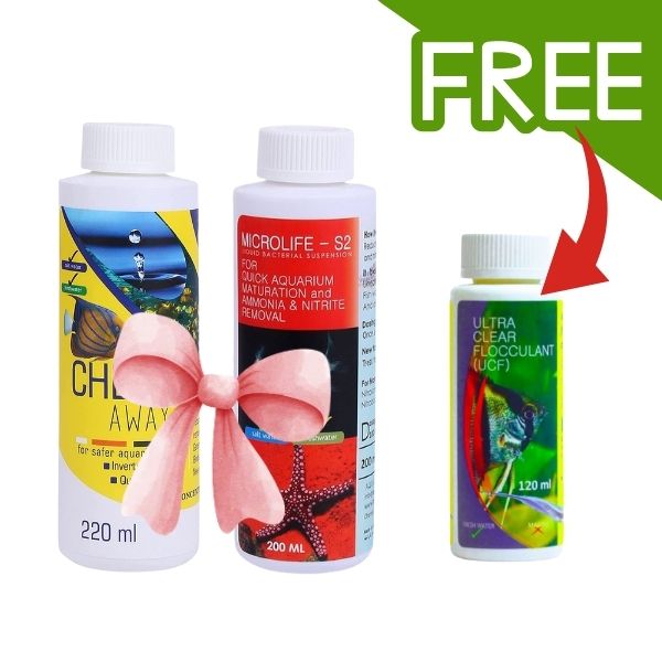 New products
