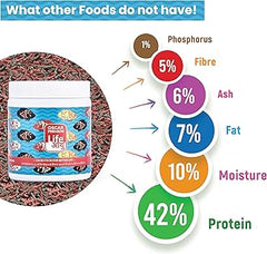 Life AAYU Oscar Premium Fish Food – Color-Boosting, Immunity-Enhancing Ayurvedic Pellets
