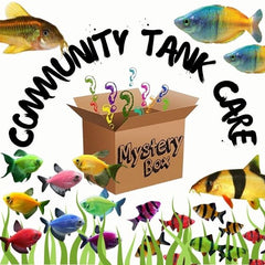 Mystery Box - Community Fish Care