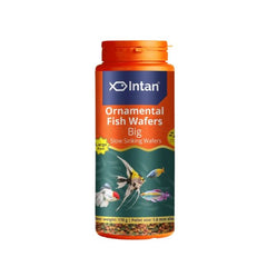 Intan Ornamental Fish Wafers Big