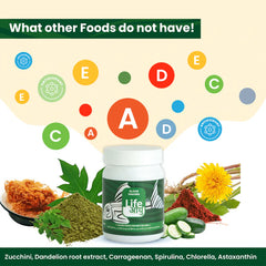 Life Aayu Algae Wafer Fish Food 45g