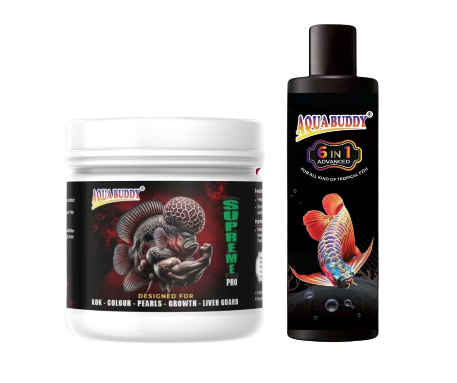 Aqua Buddy Combo (Bacteria + Flowerhorn food)