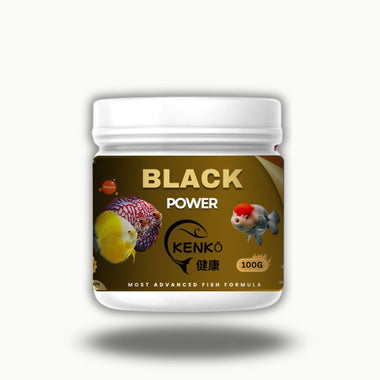KENKO Black Power Fish Food – 100g | Advanced Nutrition Formula for Cichlids, Discus, and Flowerhorn Fish | High-Protein Sinking Pellets for Vibrant Color, Active Behavior & Healthy Growth