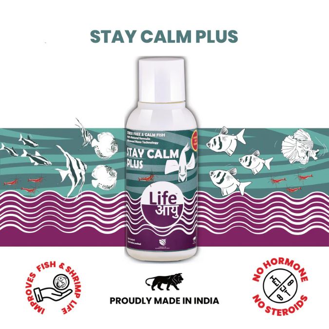 Life Aayu Stay Calm Plus