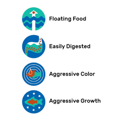 Hikari Cichlid Excel | 57gm | Cichlid Food | Mini Pellet