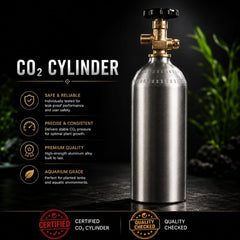 Complete Co2 Kit - 4 litre