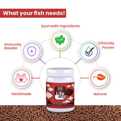 Life Aayu Blood Worm Pellets : High-Quality Blood Worm Pellets Fish Food