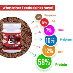 Life Aayu Blood Worm Pellets : High-Quality Blood Worm Pellets Fish Food