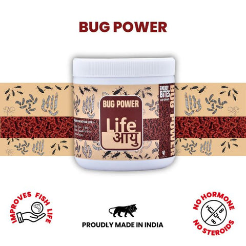 LIFE AAYU BUG POWER FISH FOOD