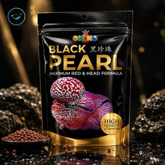 OKIKO BLACK PEARL 100GM