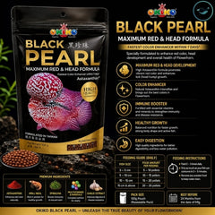 OKIKO BLACK PEARL 100GM