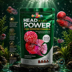 OKIKO HEAD POWER 100GM