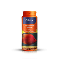 Intan Red Enhance pellet big