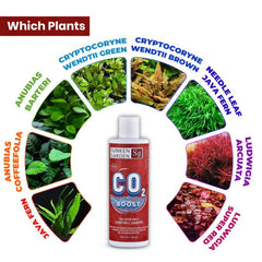 Sunken Garden Liquid CO2 Boost – Organic Carbon Source for Aquatic Plants | Algae-Free Growth | Shrimp Safe (200+30ml)