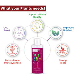 Sunken Garden Good Bacteria – Premium Denitrifying Bacteria for Water Clarity & Bio Stability | Safe for Shrimp & Invertebrates (200+30ml)