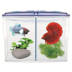 Sunken Garden Betta Water Conditioner