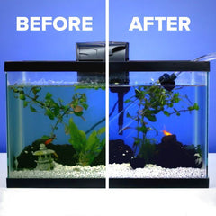 Sunken Garden Betta Water Conditioner