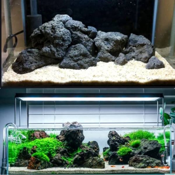 Soil & Rocks