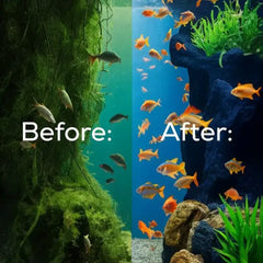 MAYA api Double Dotted Algae Cleaning Pad 1pc