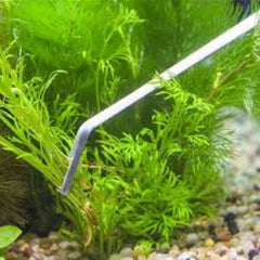 Aquascaping Curved Tweezer