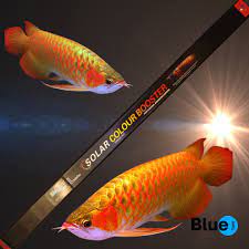Bluepet BL-Series Colour Booster Submersible LED Light
