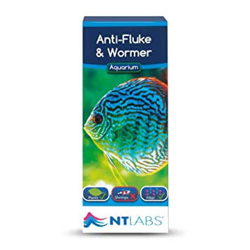 NT LABS  Anti-Fluke & Wormer