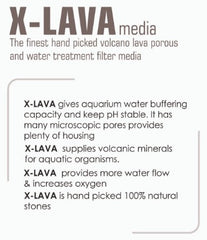 AQUATIC REMEDIES X-LAVA 800ML