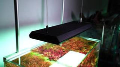 CHIHIROS Planted LED System | RGB-VIVID II