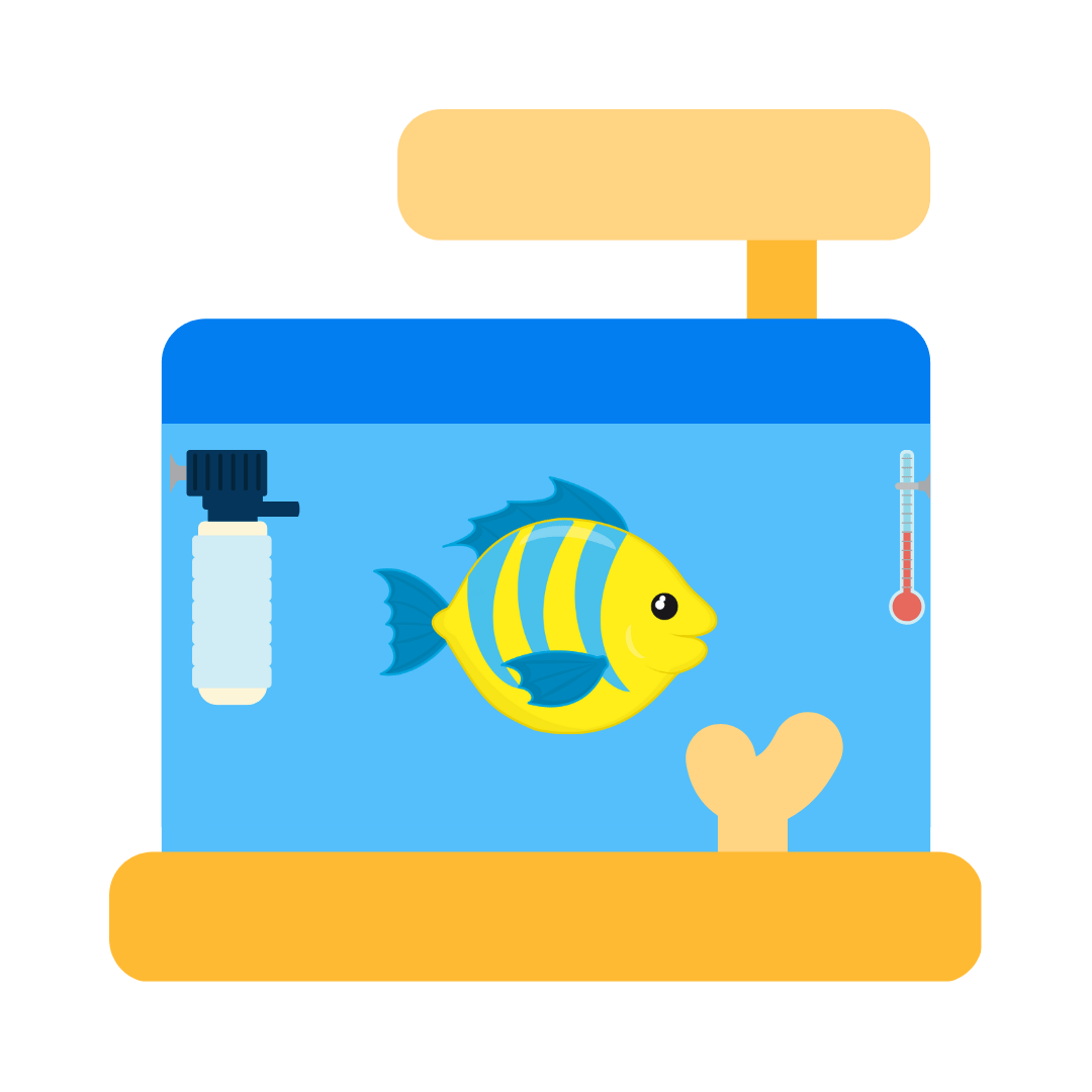 Aquarium Accessories