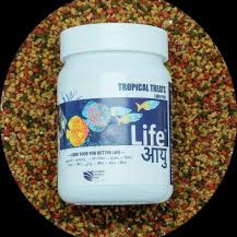 Life Aayuh Food Tropical Treats – Large | 70gm