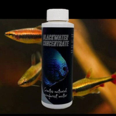 AQUATIC REMEDIES BLACKWATER CONCENTRETED 250ML